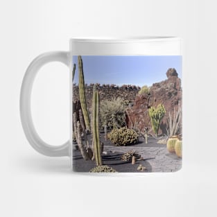 Cactus garden, Lanzarote (C010/3920) Mug